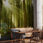 Pine Forest Morning Sunlight Wall Mural