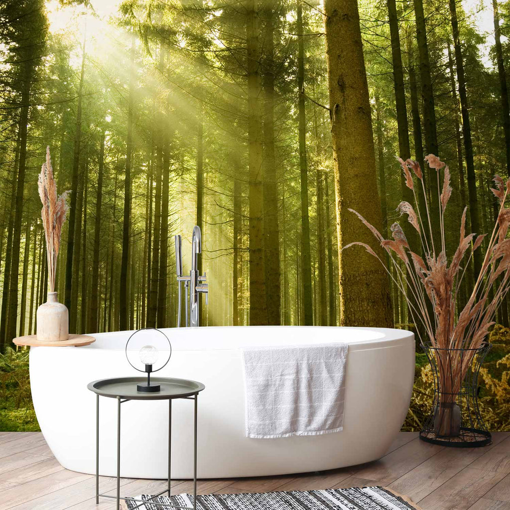 Pine Forest Morning Sunlight Wall Mural