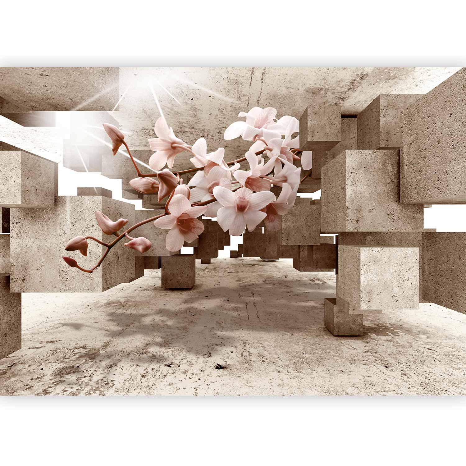 Orchid Floral 3D Texture Concrete Wall Mural