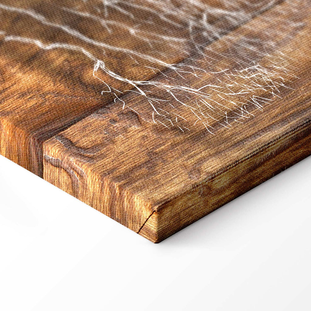 Forest Tree Rings Nature Canvas Print