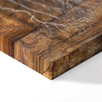 Forest Tree Rings Nature Canvas Print