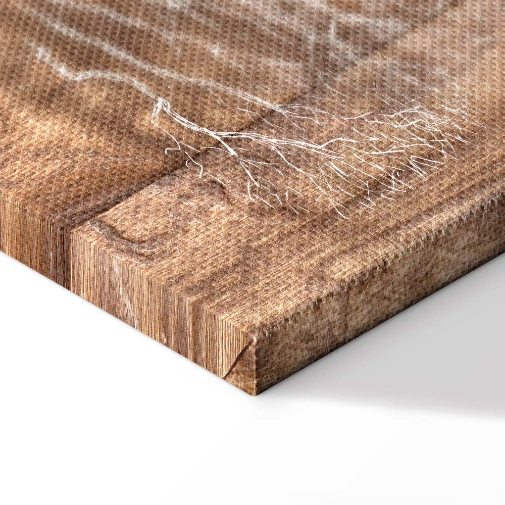 Forest Tree Story Nature Canvas Print