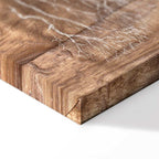 Forest Tree Story Nature Canvas Print