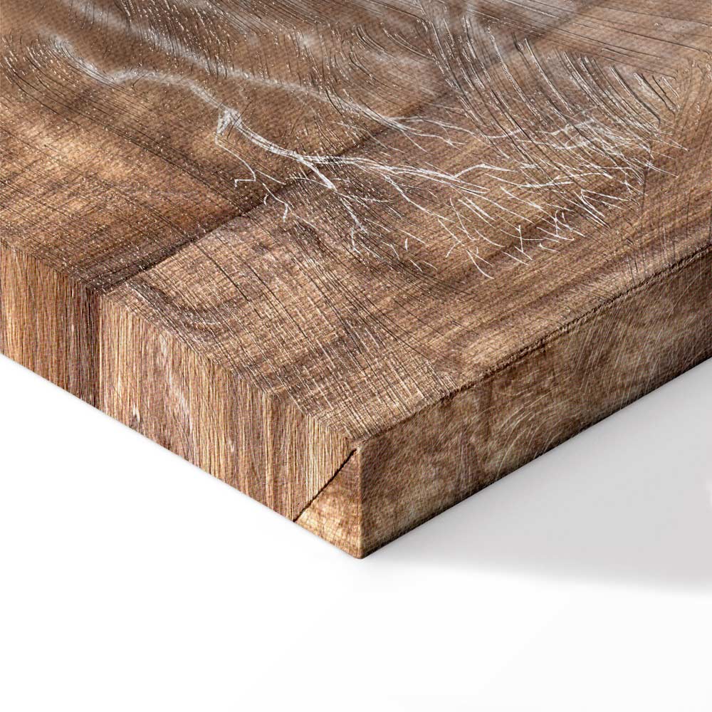 Forest Tree Story Nature Canvas Print