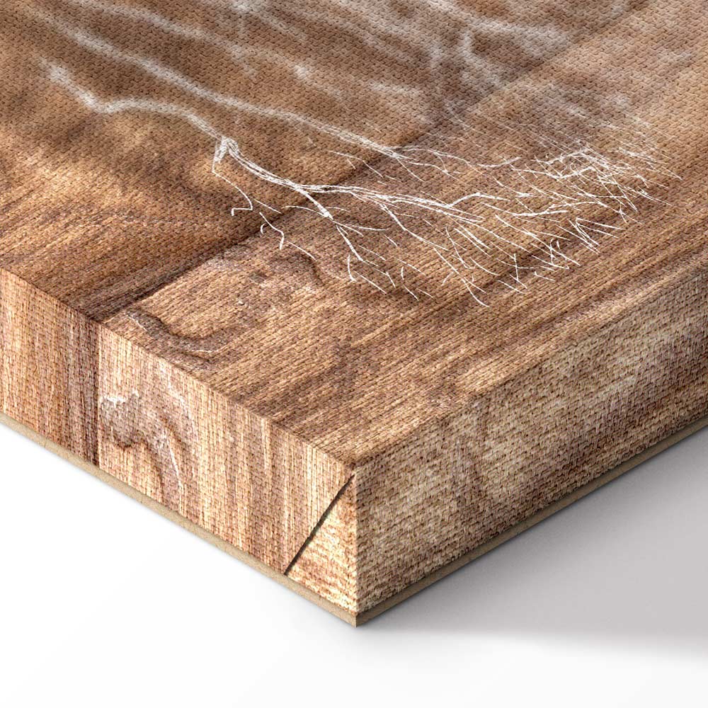 Forest Tree Story Nature Canvas Print