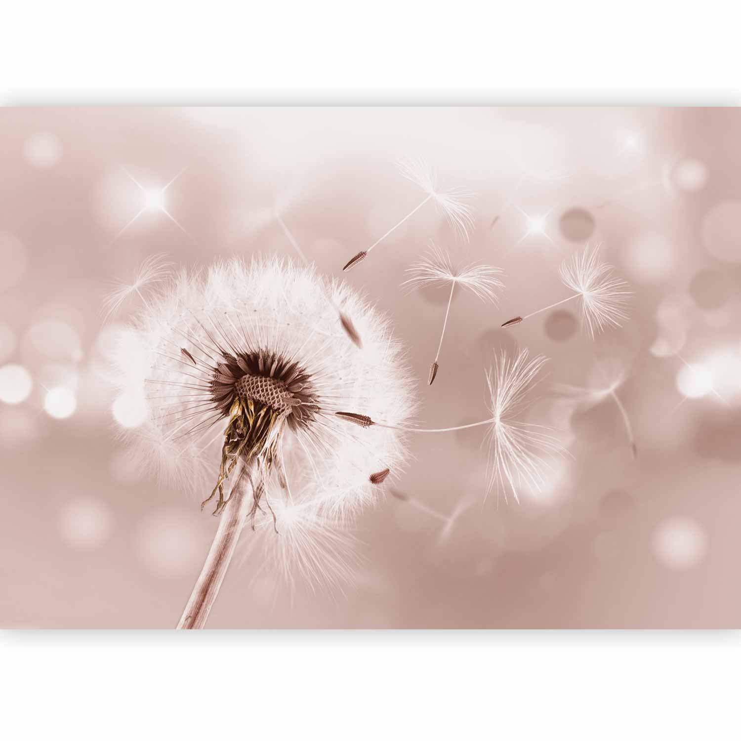 Sunlit Dandelions Nature Wall Mural