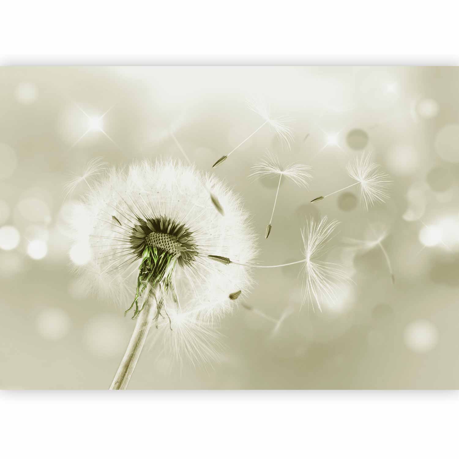 Green Dandelion Wind Nature Wall Mural