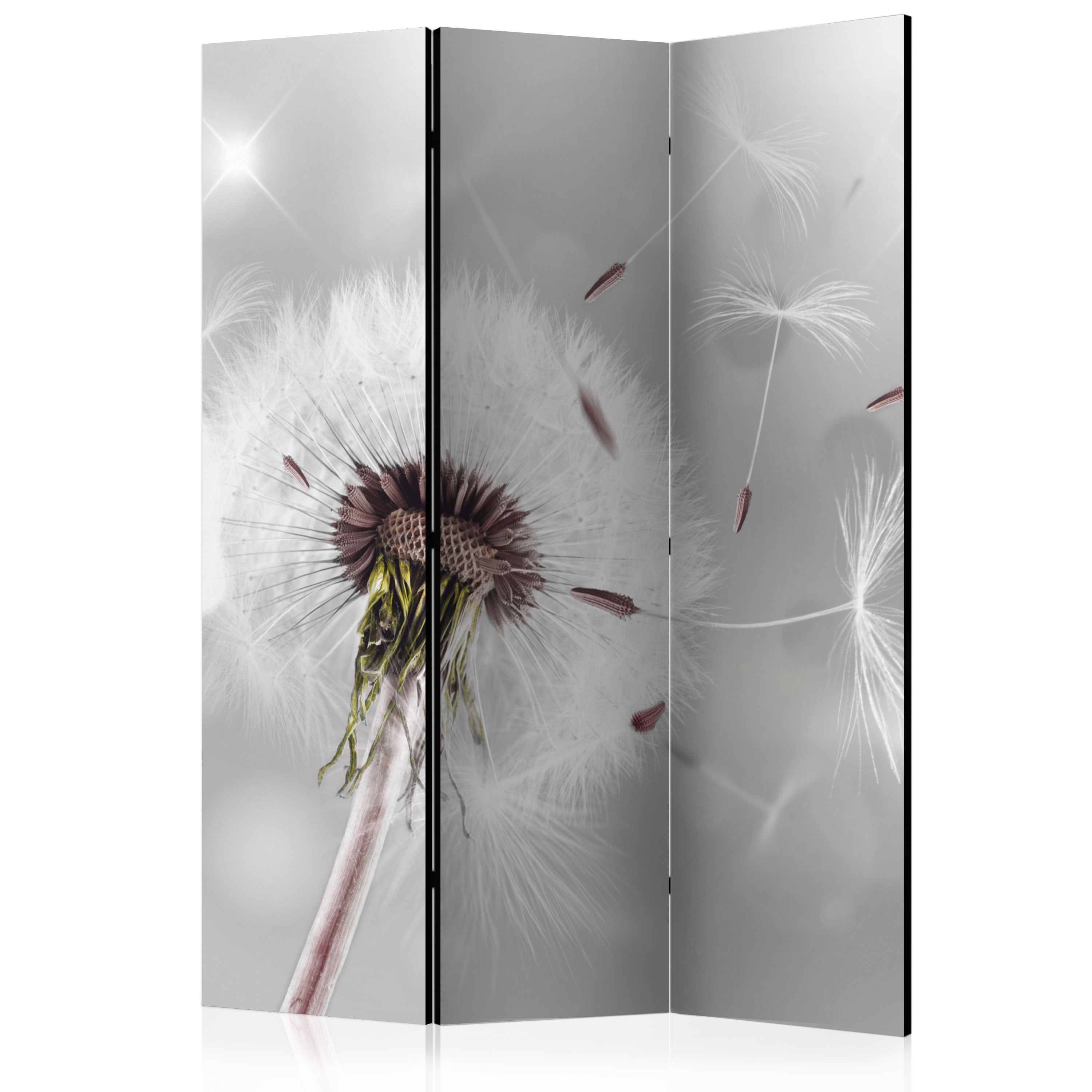 Grey Dandelion Shine Nature 3-Panel Room Divider