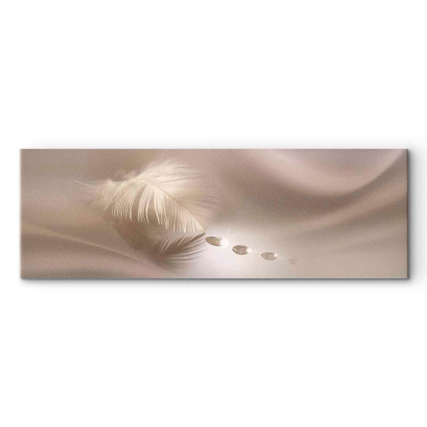 Delicate Feather Water Waves Canvas Print