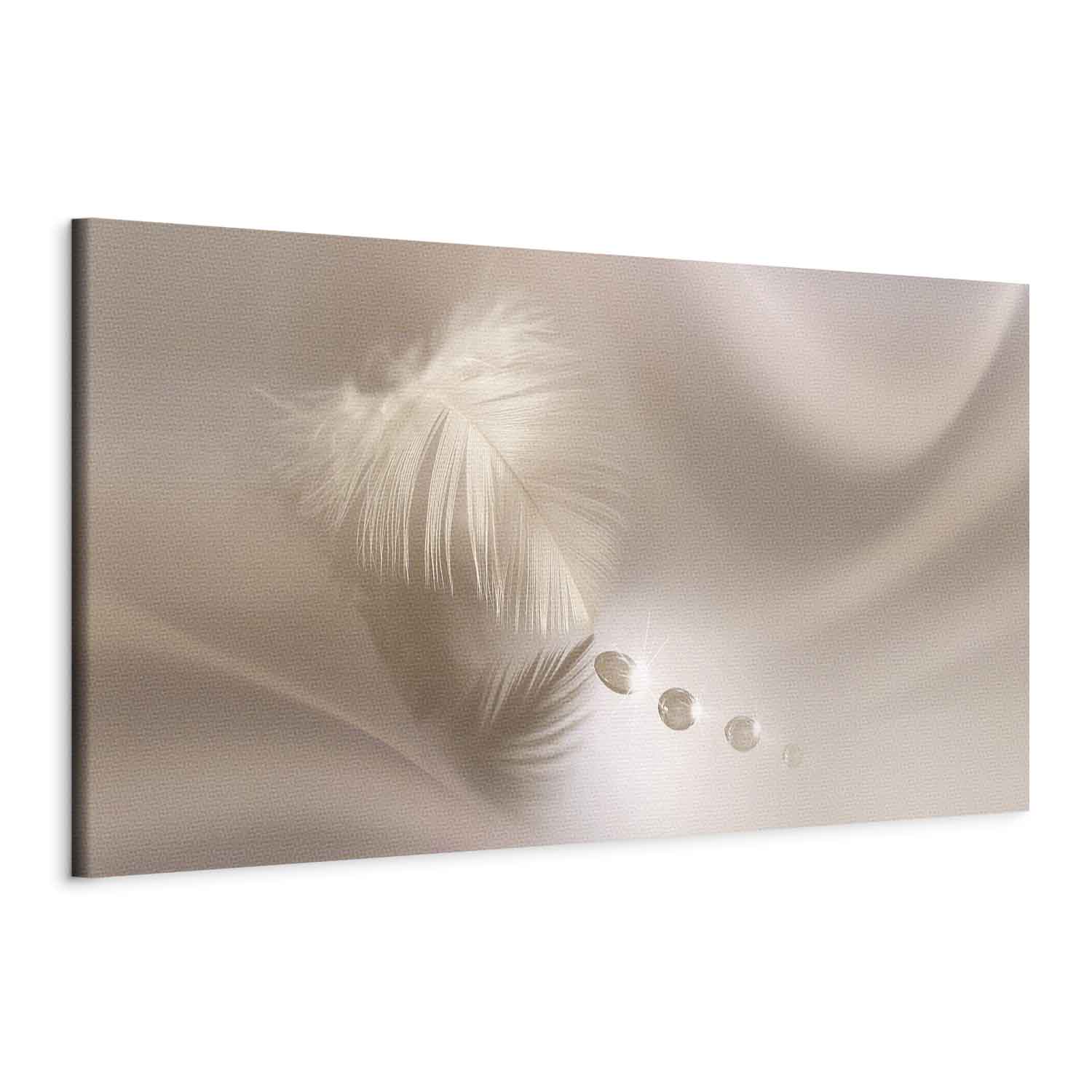 Delicate Feather Water Waves Canvas Print