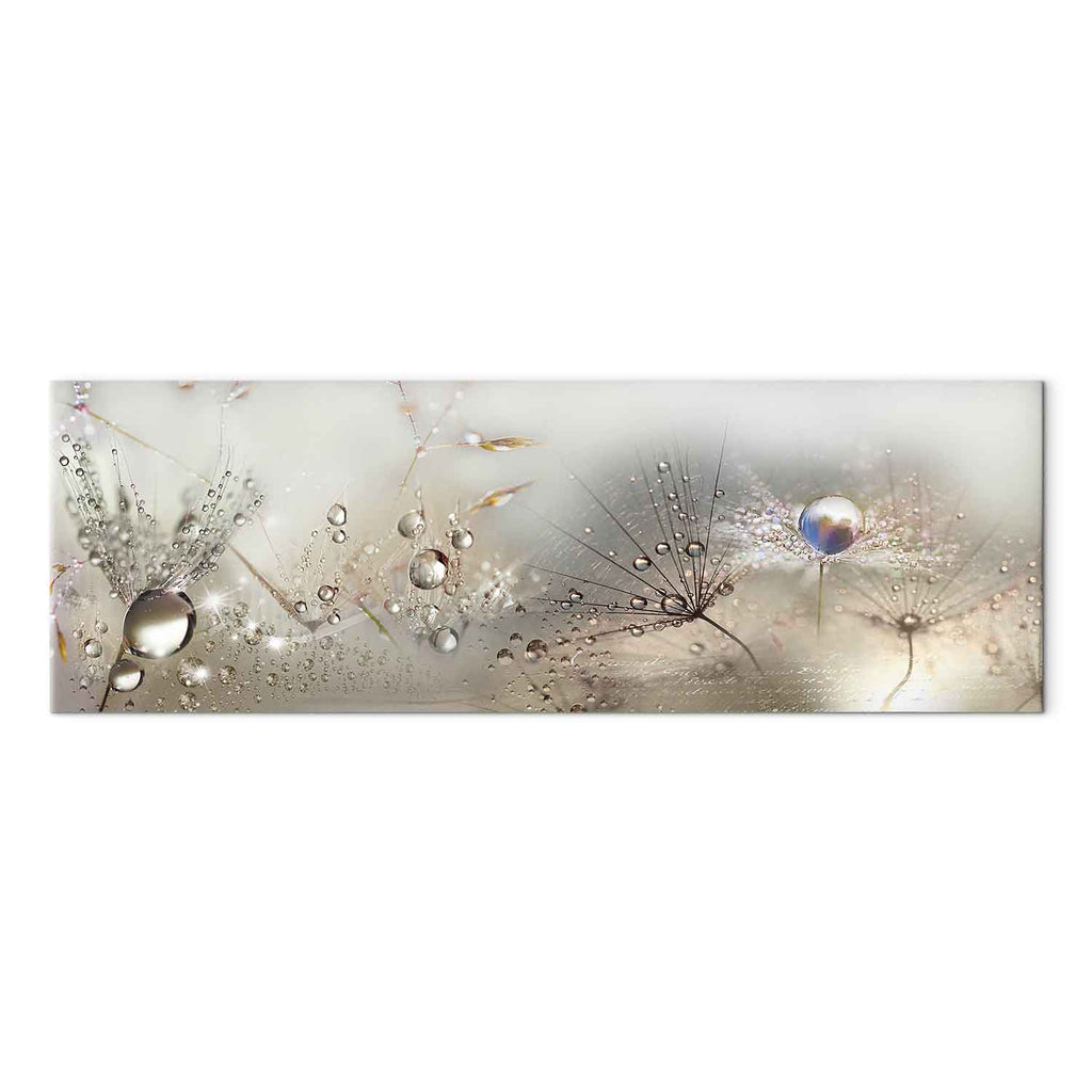 Dandelion Inscriptions Romantic Canvas Print