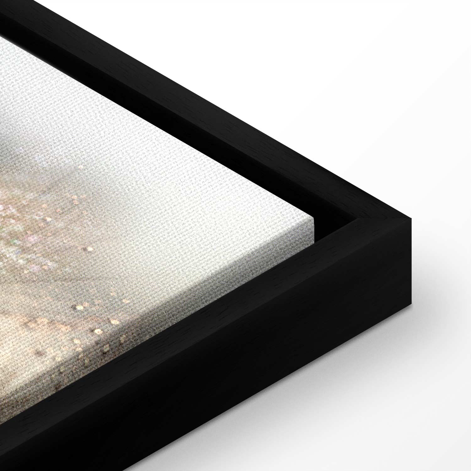 Dandelion Inscriptions Romantic Canvas Print