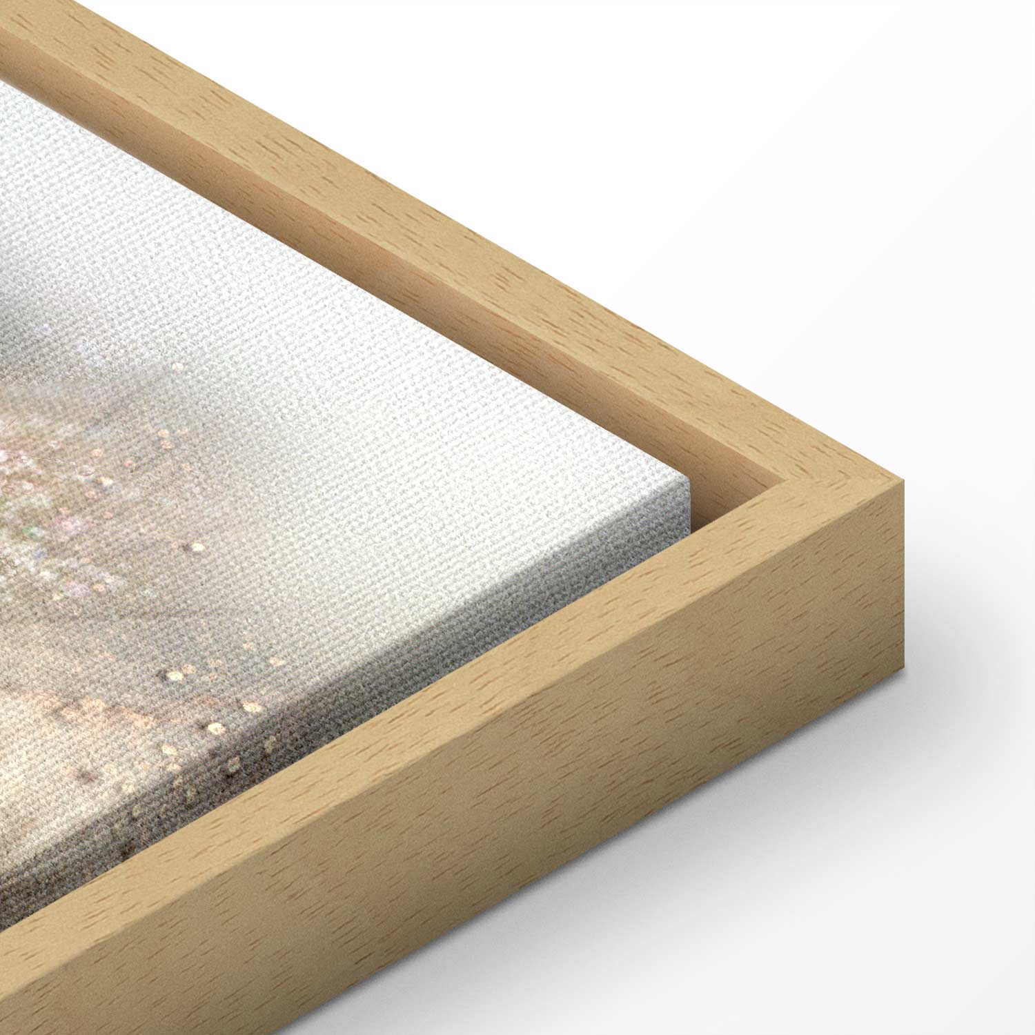 Dandelion Inscriptions Romantic Canvas Print