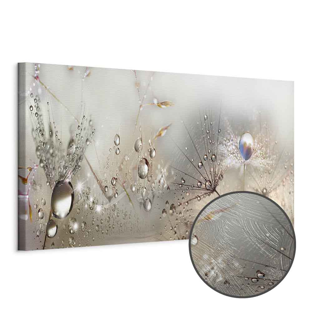 Dandelion Inscriptions Romantic Canvas Print