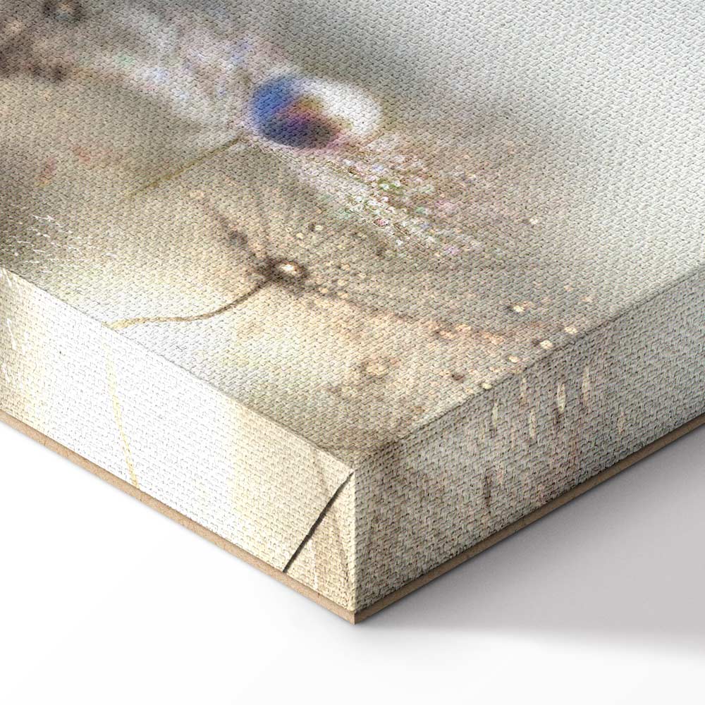 Dandelion Inscriptions Romantic Canvas Print