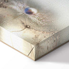 Dandelion Inscriptions Romantic Canvas Print