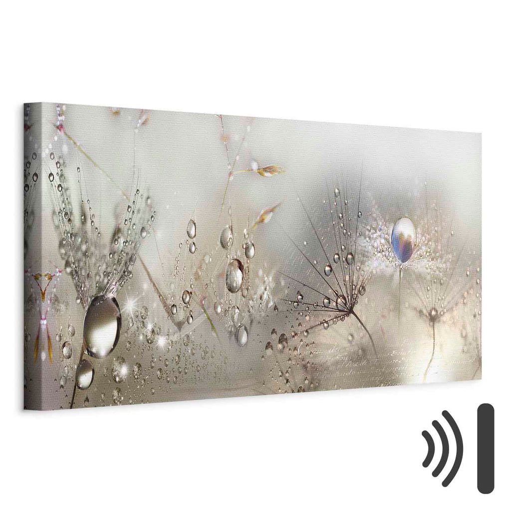 Dandelion Inscriptions Romantic Canvas Print