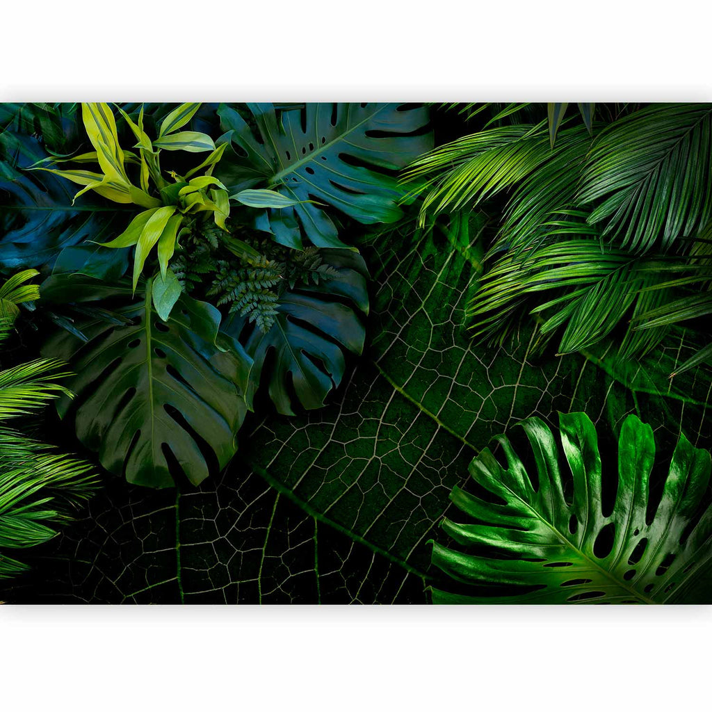 Dark Jungle Tropical Leaves Wall Mural