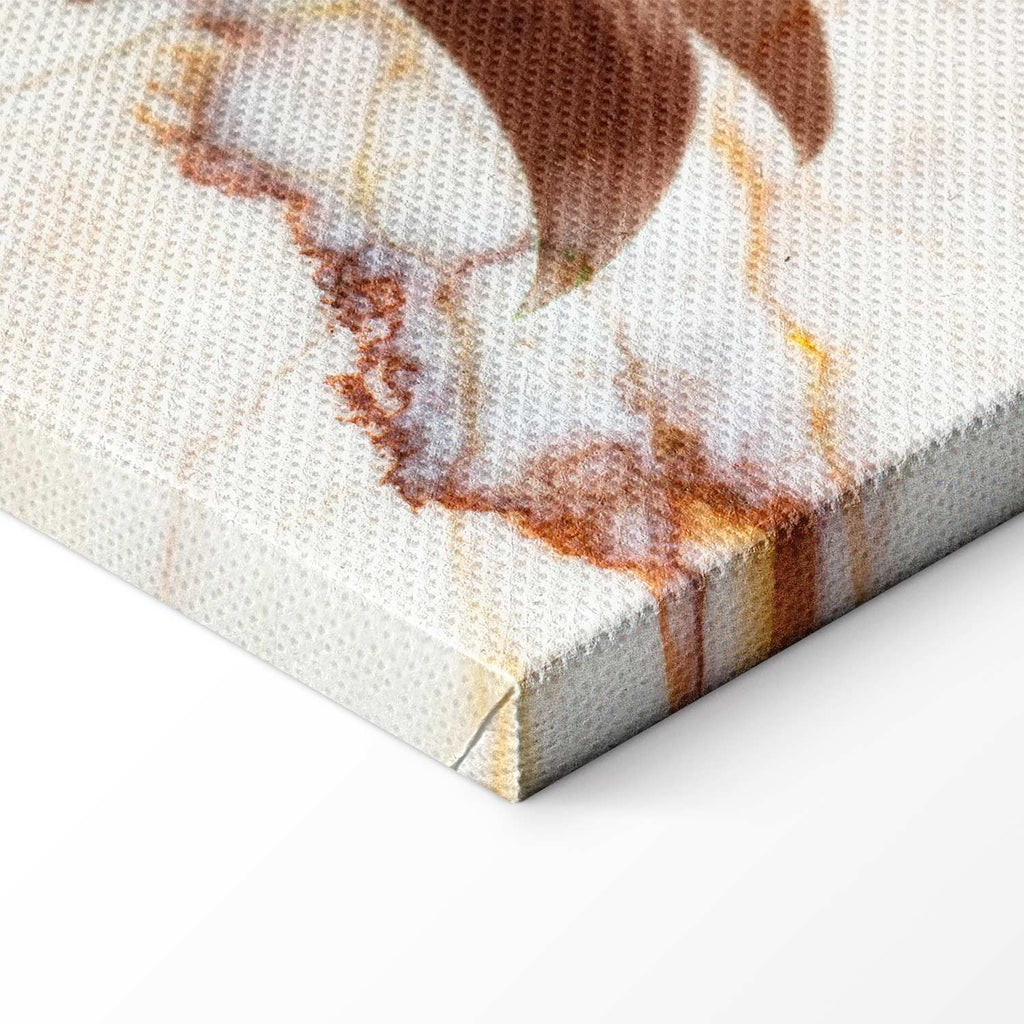 Delicate Lily on Sepia Marble Canvas Print