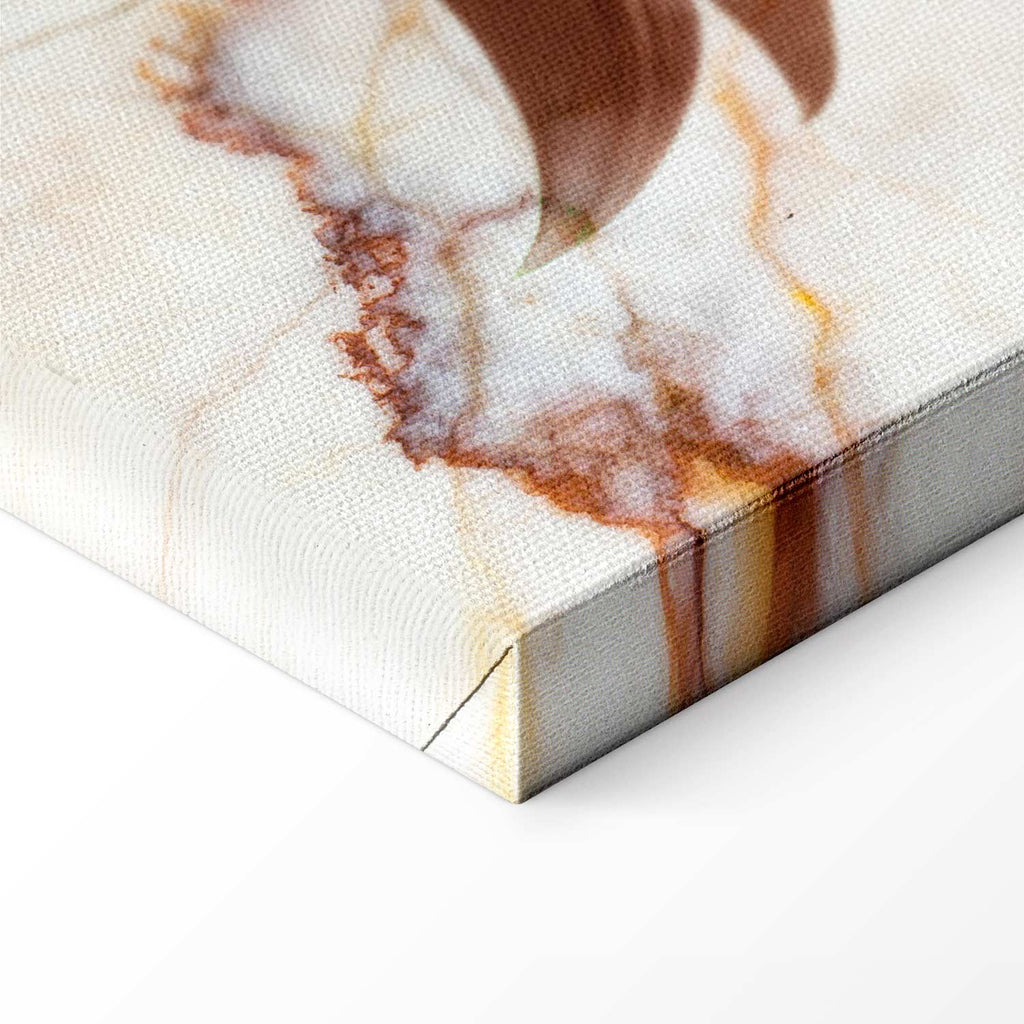 Delicate Lily on Sepia Marble Canvas Print