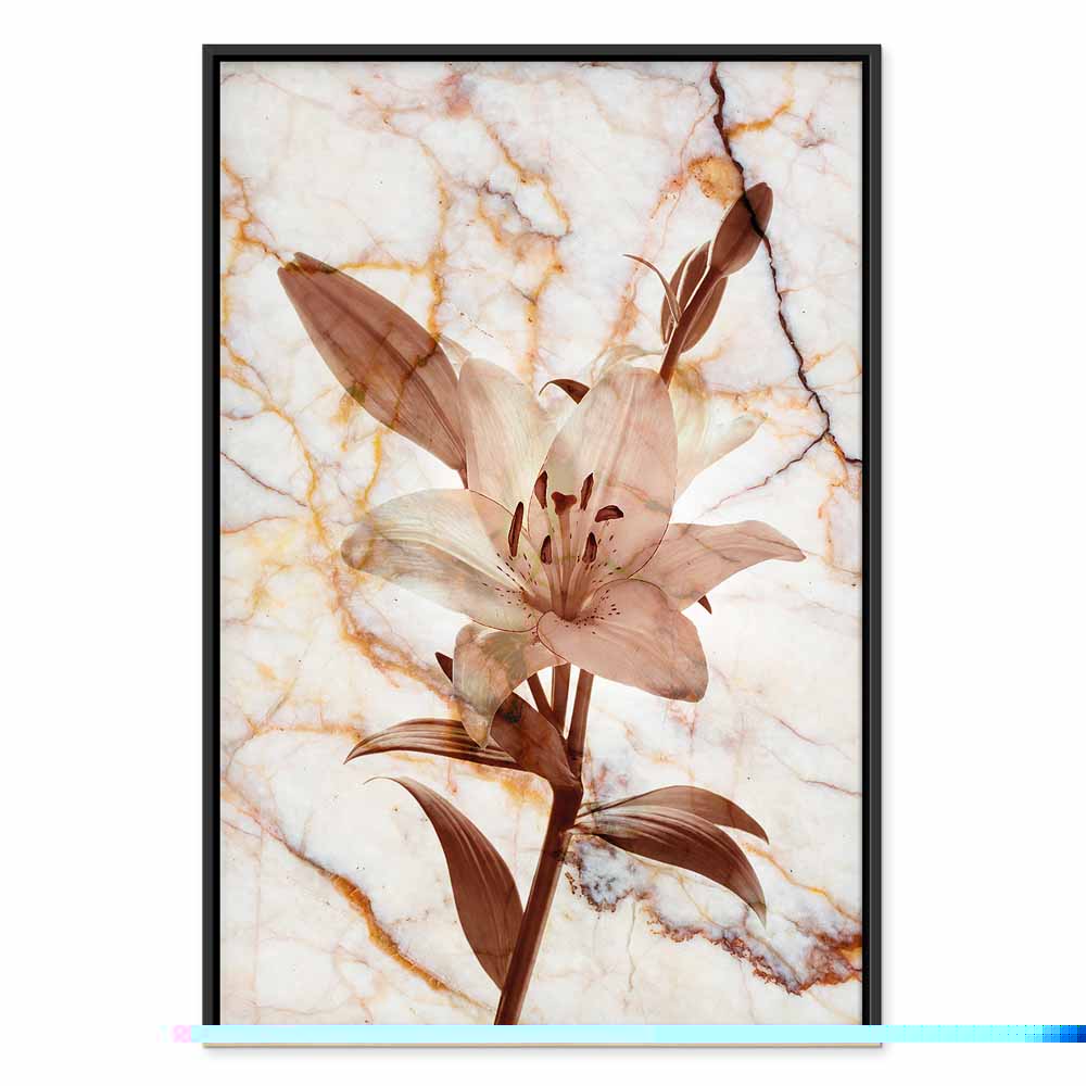 Delicate Lily on Sepia Marble Canvas Print