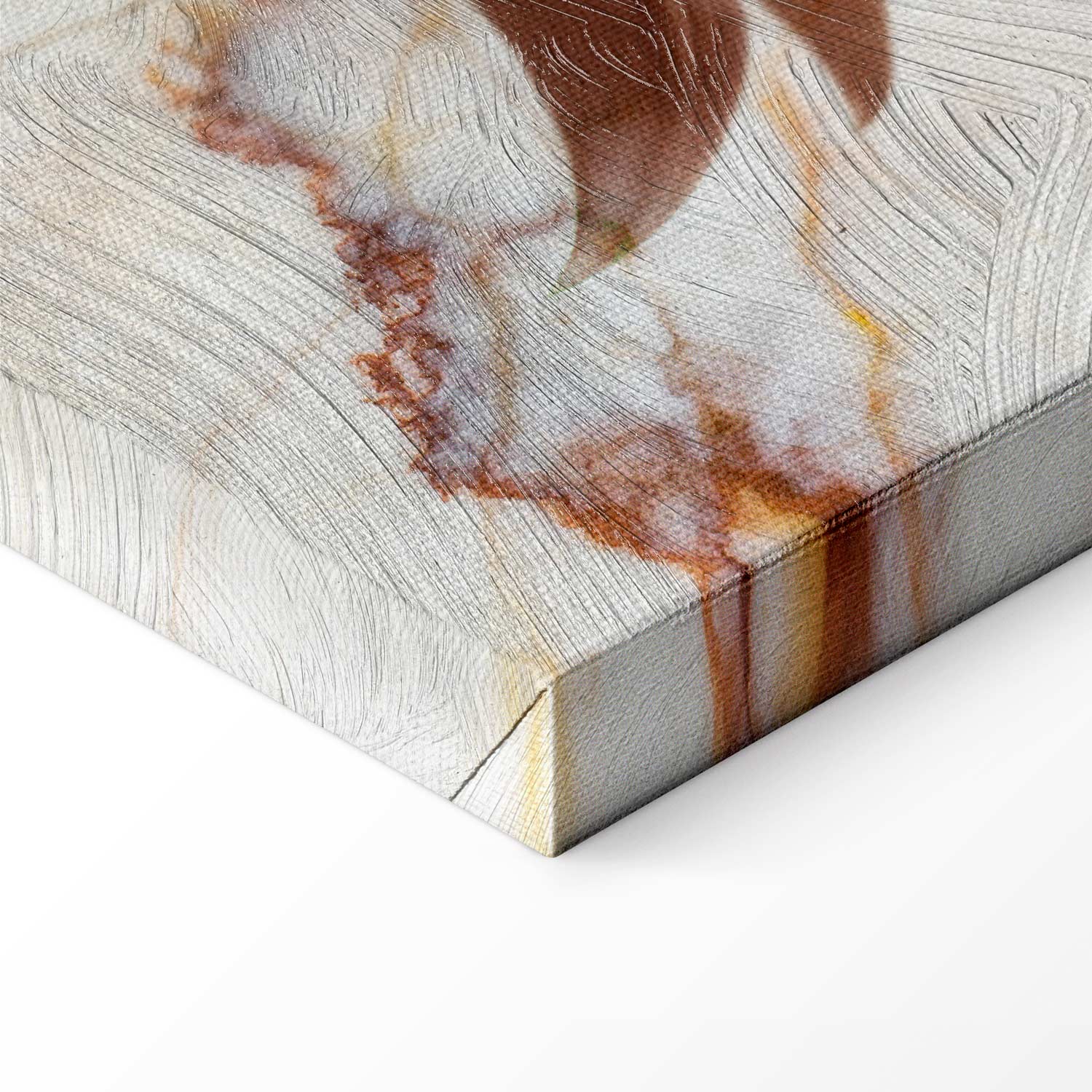 Delicate Lily on Sepia Marble Canvas Print