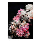 Colorful Peony Bouquet on Black Canvas Print