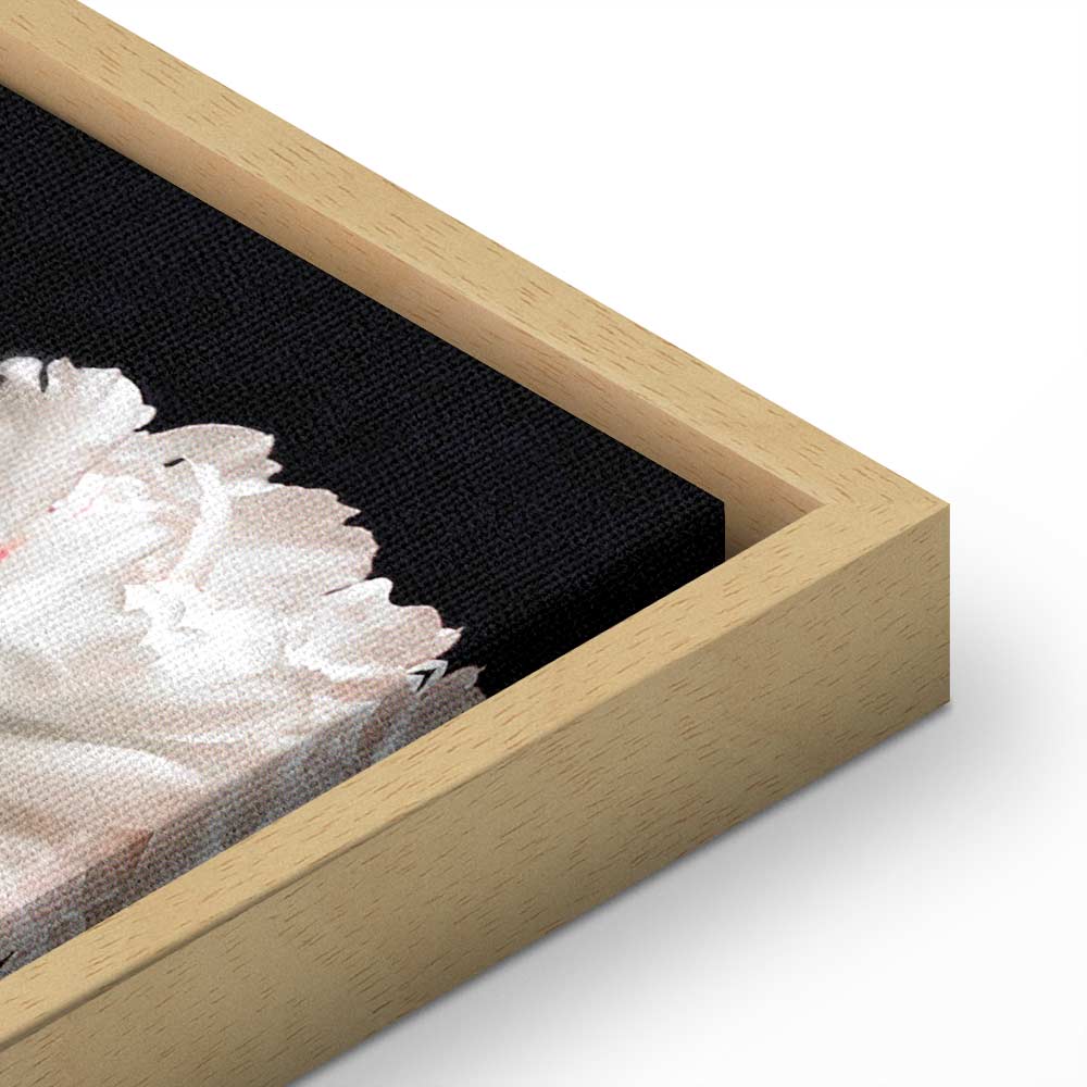 Colorful Peony Bouquet on Black Canvas Print