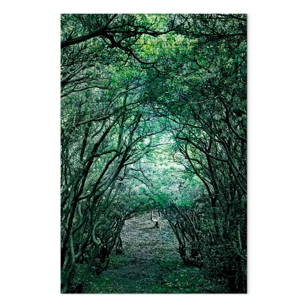 Green Pergola Nature Canvas Print