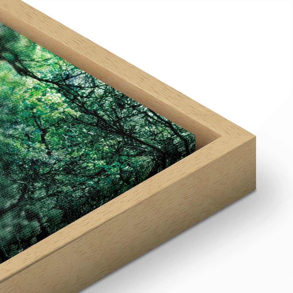 Green Pergola Nature Canvas Print