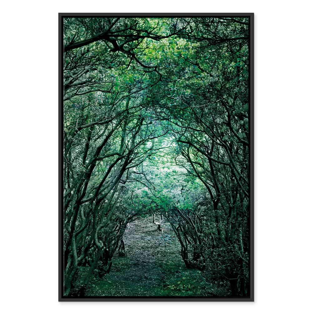 Green Pergola Nature Canvas Print