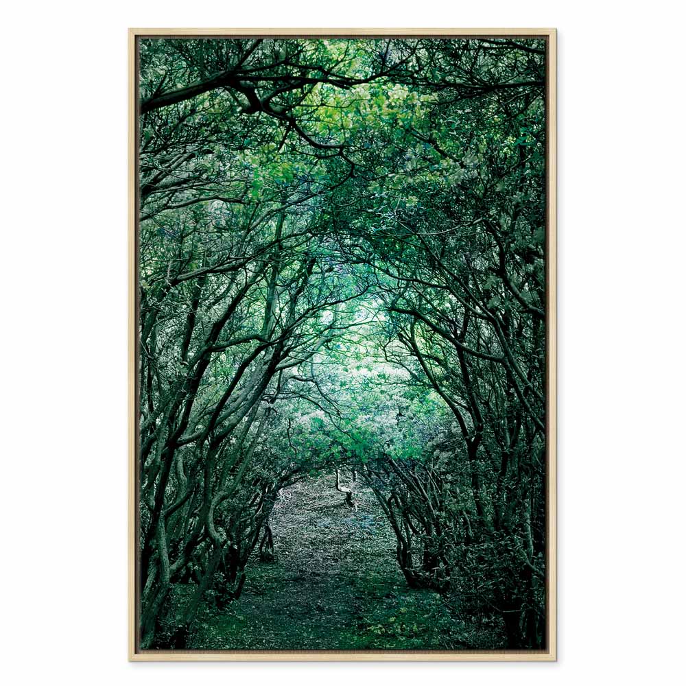 Green Pergola Nature Canvas Print