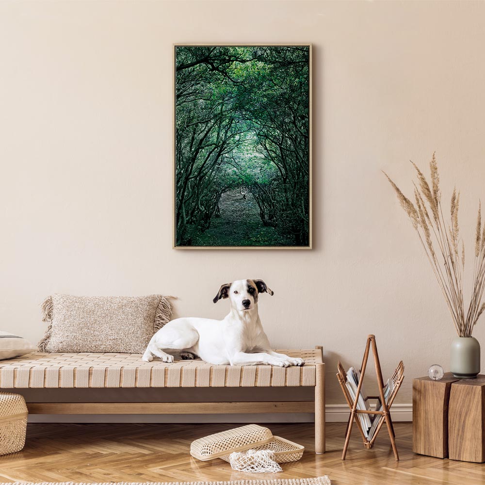 Green Pergola Nature Canvas Print