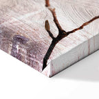 Magnolia Floral Narrow Canvas Print