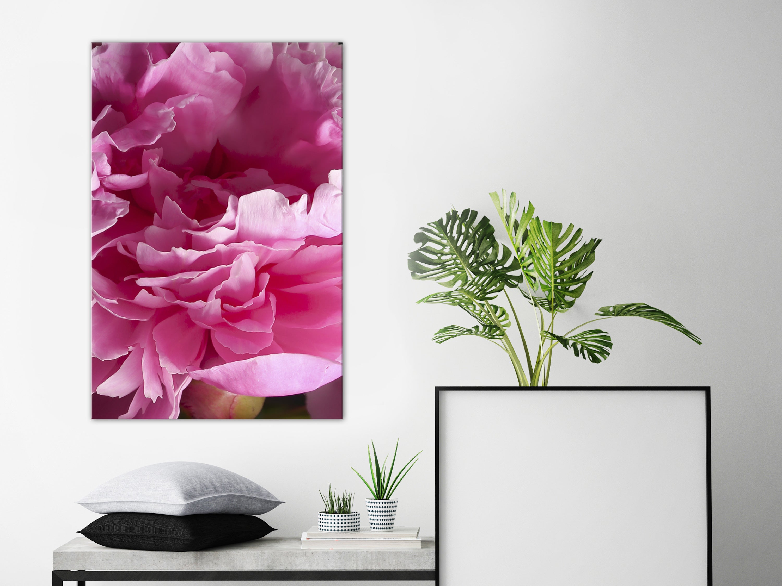 Canvas Print: Pink Peony Blossom Artwork