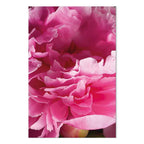 Pink Peony Flower Floral Canvas Print