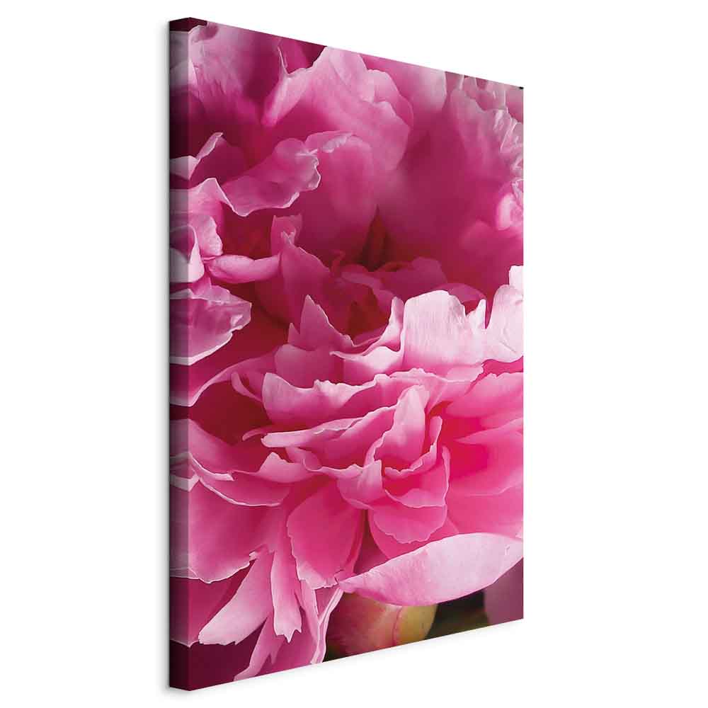 Pink Peony Flower Floral Canvas Print