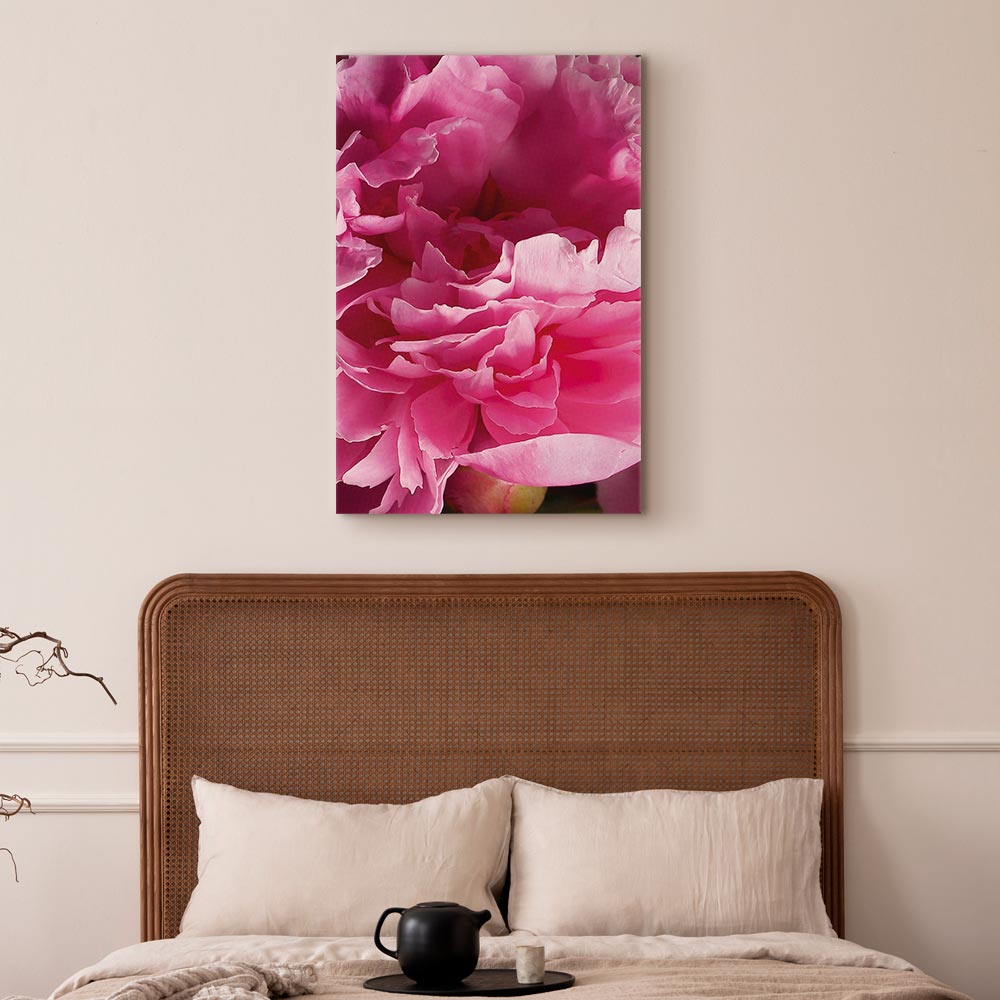 Pink Peony Flower Floral Canvas Print