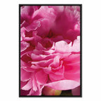 Pink Peony Flower Floral Canvas Print
