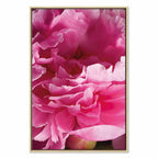 Pink Peony Flower Floral Canvas Print
