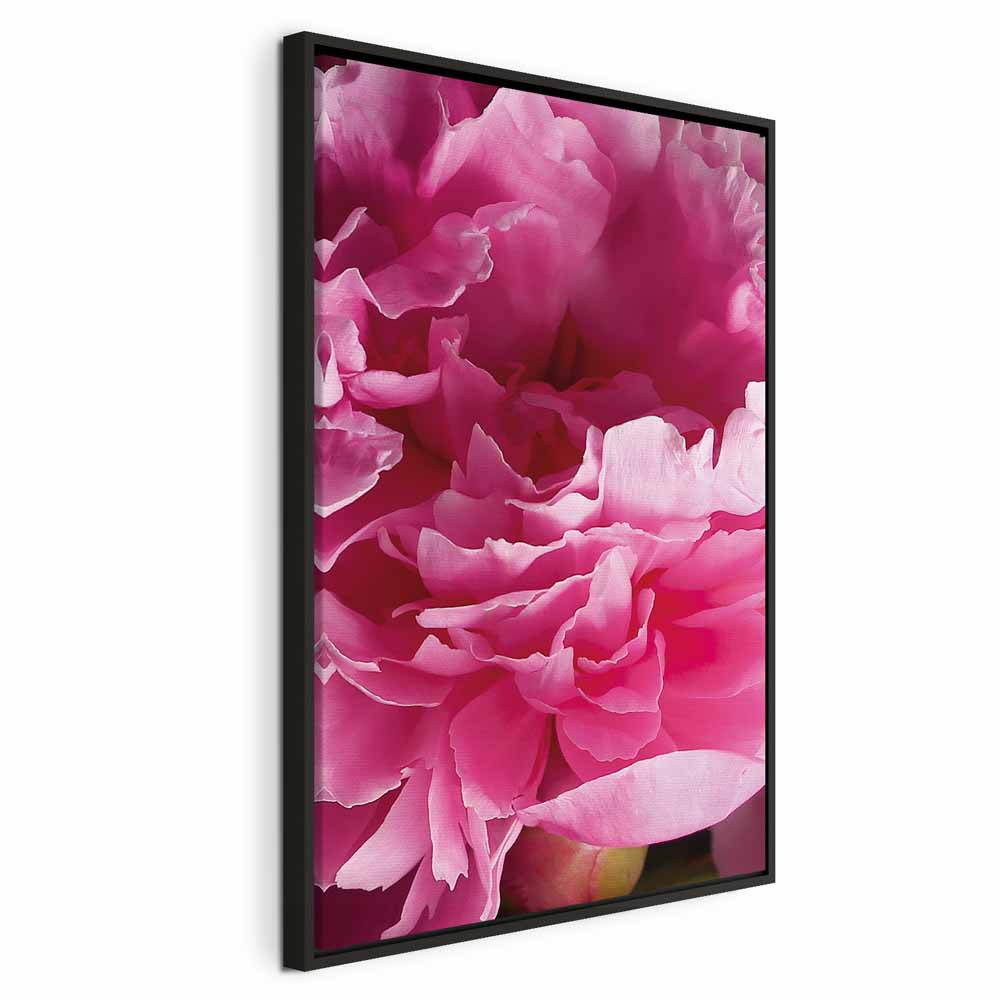 Pink Peony Flower Floral Canvas Print