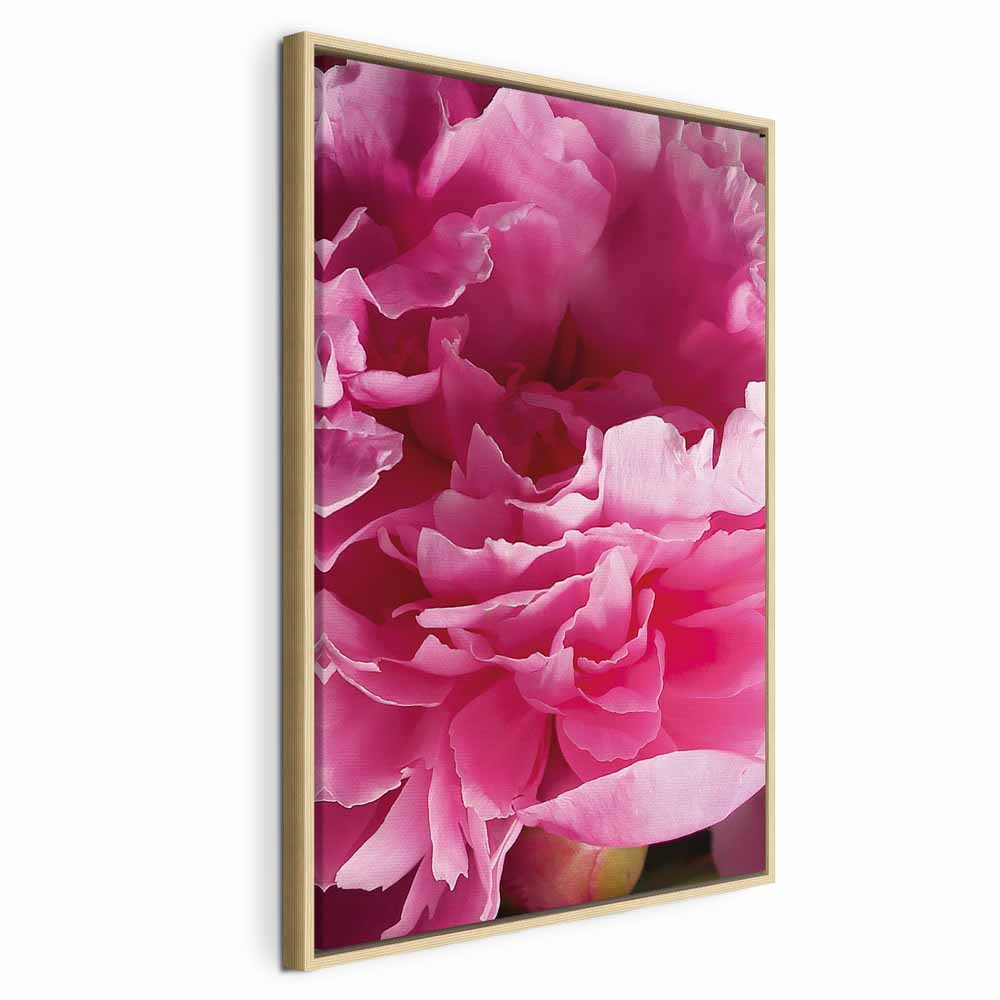 Pink Peony Flower Floral Canvas Print