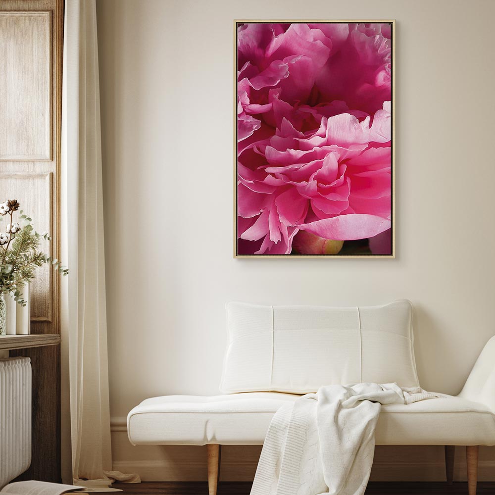 Pink Peony Flower Floral Canvas Print
