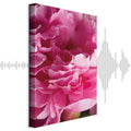 Pink Peony Flower Floral Canvas Print