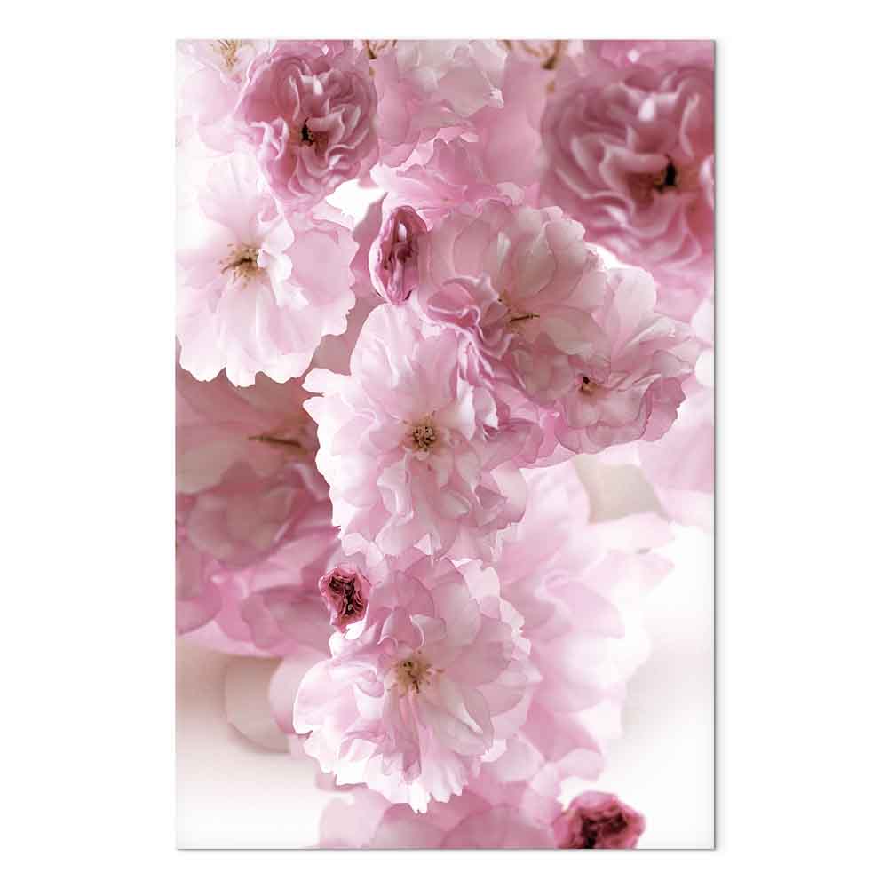 Pink Flower Petals Glamour Canvas Print