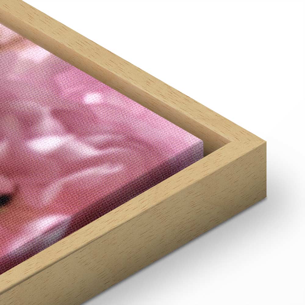 Pink Flower Petals Glamour Canvas Print