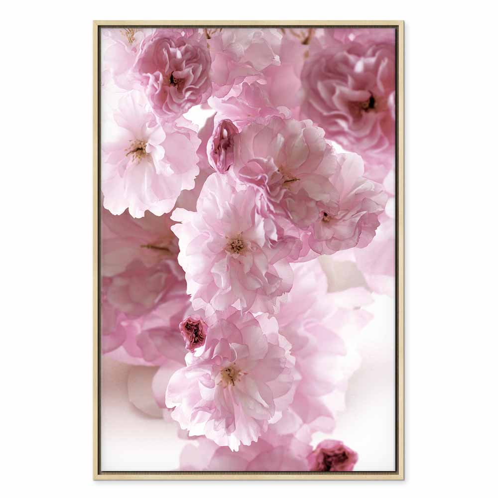 Pink Flower Petals Glamour Canvas Print