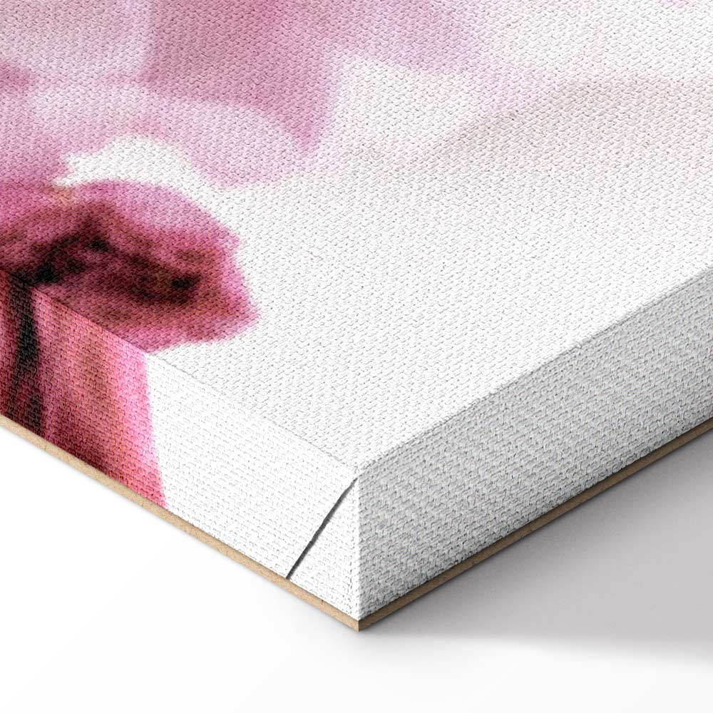 Pink Flower Petals Glamour Canvas Print