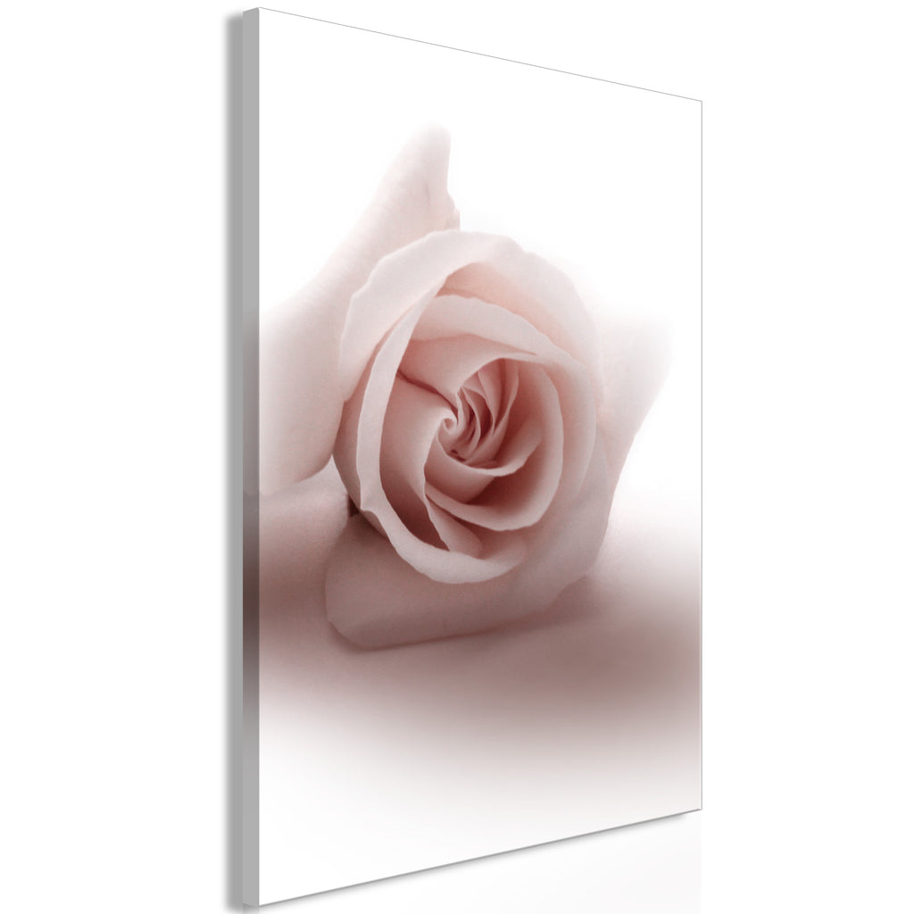 Canvas Print Floral Glamour Glow 1-part Delicate Pink Rose
