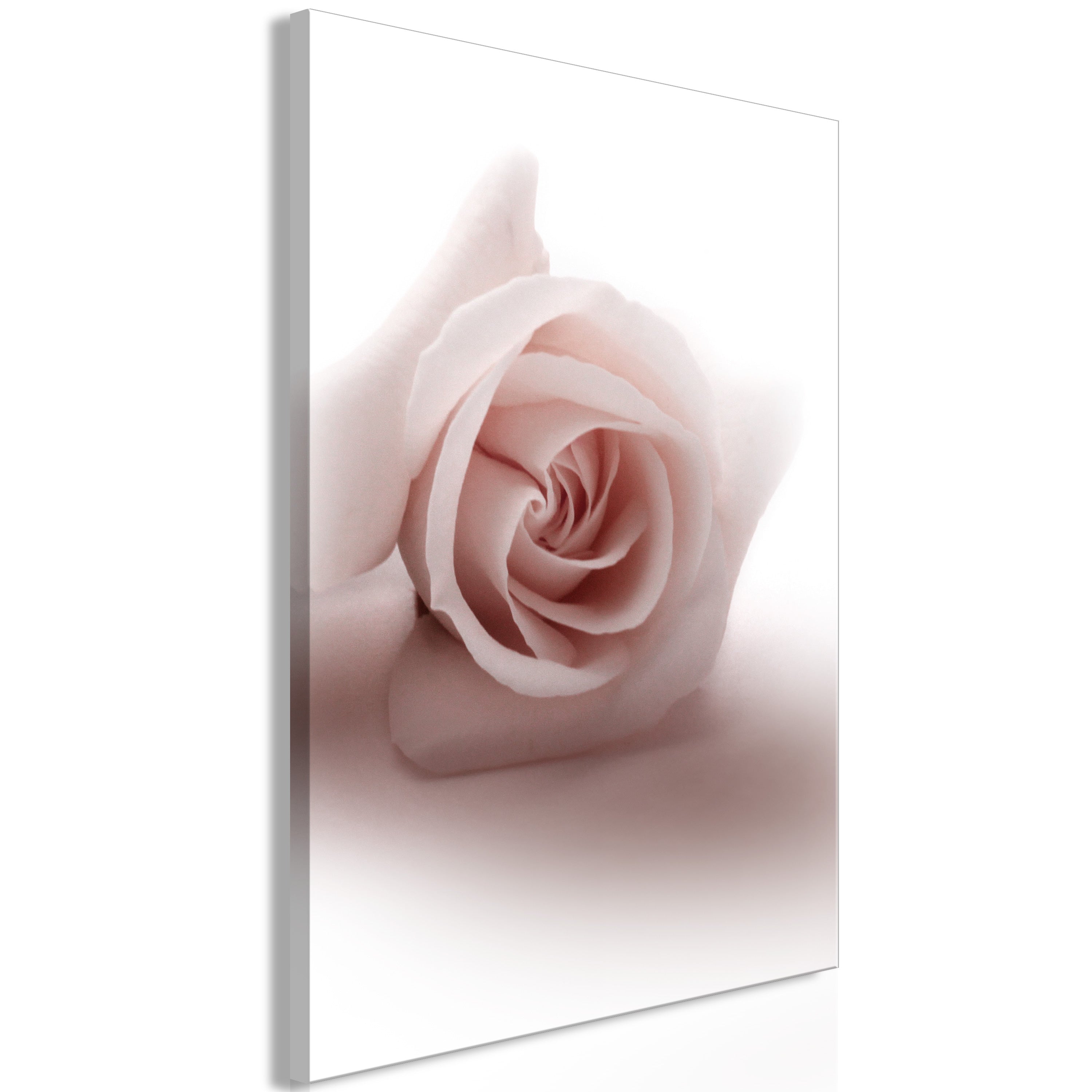 Canvas Print Floral Glamour Glow 1-part Delicate Pink Rose